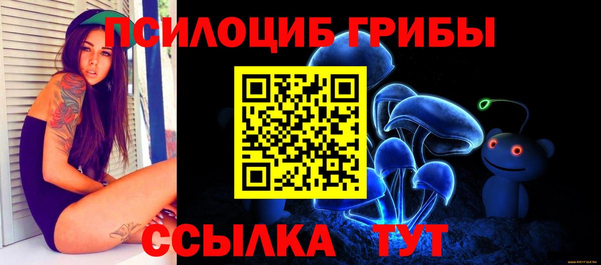 Псилоцибиновые грибы Cubensis Луховицы